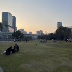 剣先公園芝生広場。