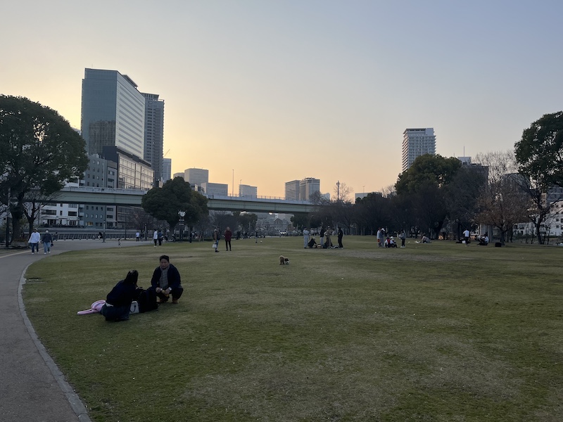 剣先公園芝生広場。