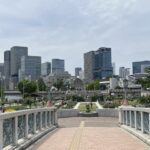 ばらぞの橋からバのラ園全景。中央公会堂も見えます。