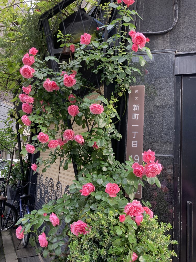 レオナルド・ダ・ヴィンチ2021/05/14撮影。