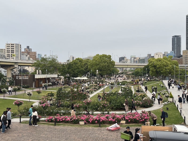 中之島バラ園全景。2026/05/02撮影。