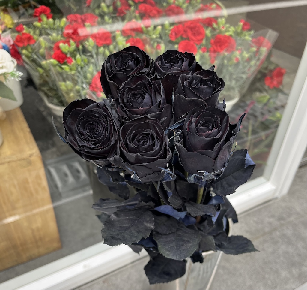 黒薔薇（染色）赤いバラに青い染料を吸わせて黒く染めてあります。