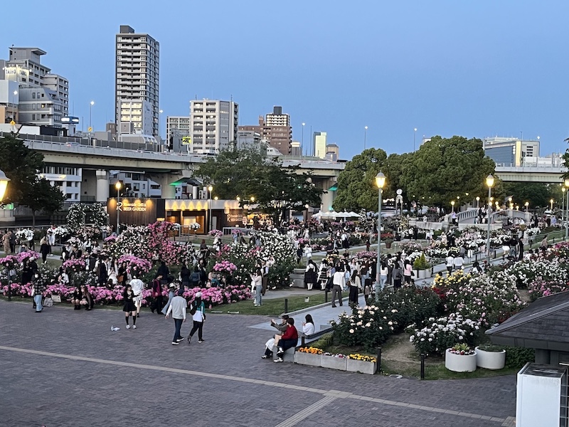 中之島バラ園南寄りからの夕景。2026/05/10撮影。