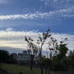 桃園の夕景2。2026/05/30撮影。