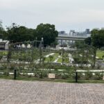 中之島バラ園。2026/06/14撮影。