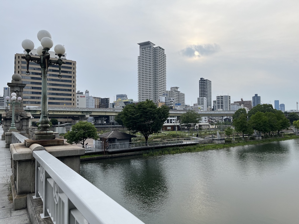 バラ園遠望。2026/06/14