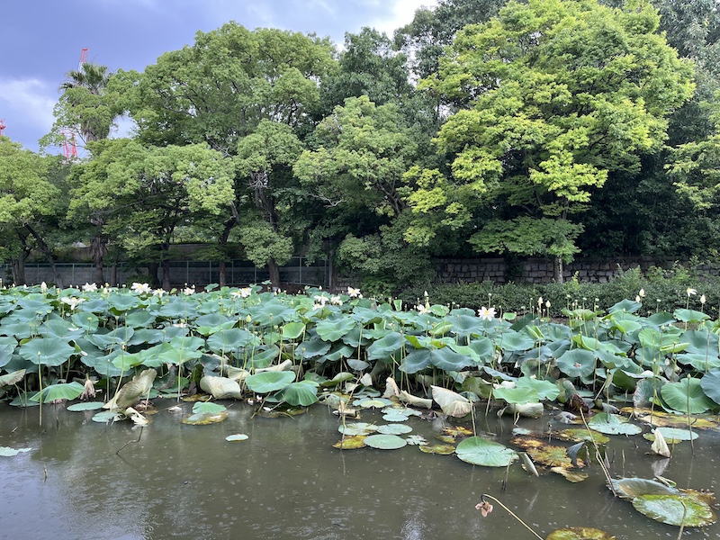 瓢箪池。