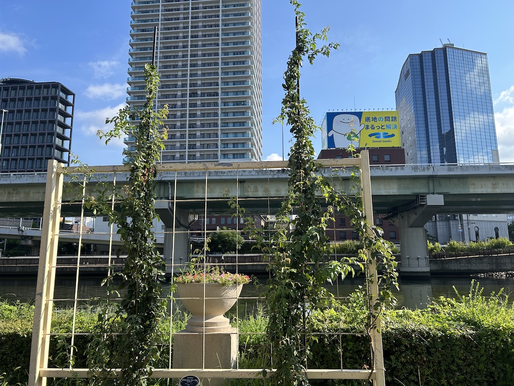 つる「シンパシー」少し咲いていました。