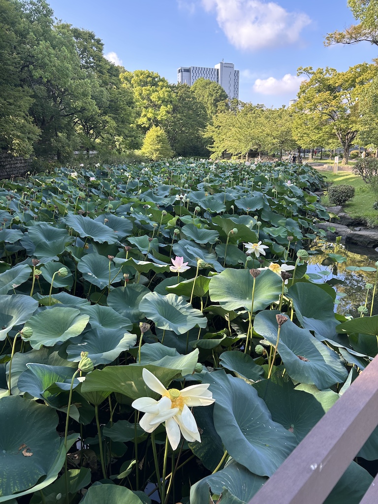 橋の上より。
